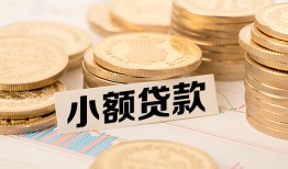东莞8身份证线下贷款-东莞8私人空放联系方式-东莞8民间借贷私人放款